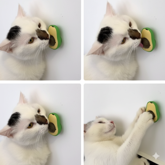 PALTA HIERBA GATERA CAT NIP