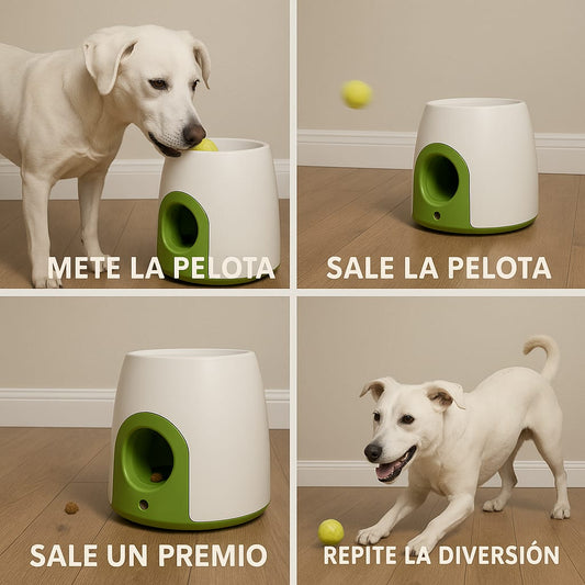 Maquina de recompensa