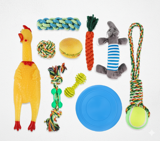 Set 10 Juguetes Para MascoTA