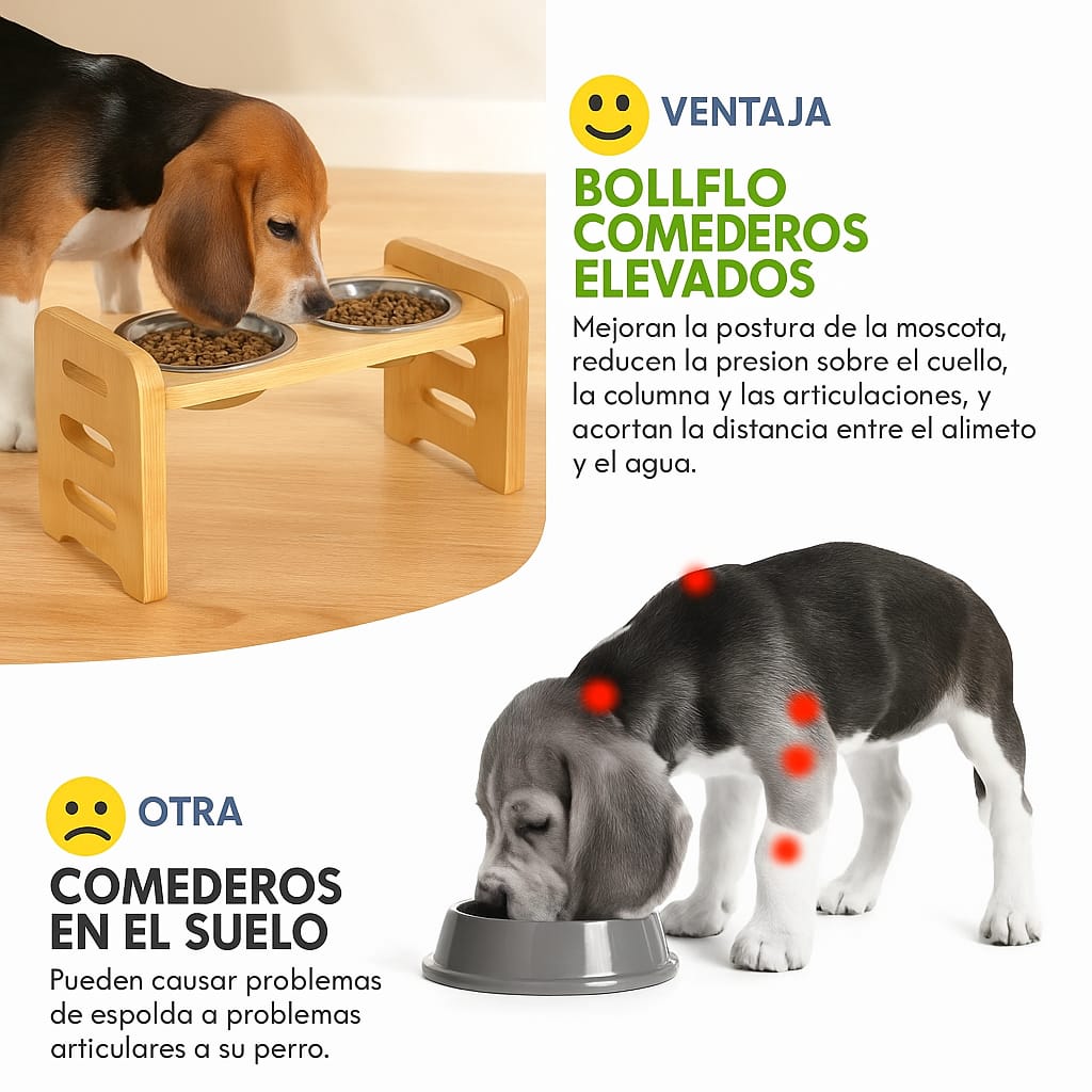 Bebedero Comida Elevado Para Perro Gatos